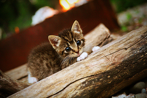 乌拉圭队在巴黎奥运会比赛中展现出快速反击战术，乌拉圭足球奥运会