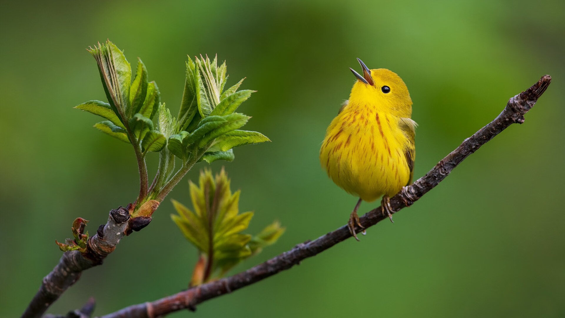 kaiyun.com-中超俱乐部加快建设自有训练基地，中超俱乐部管理体制