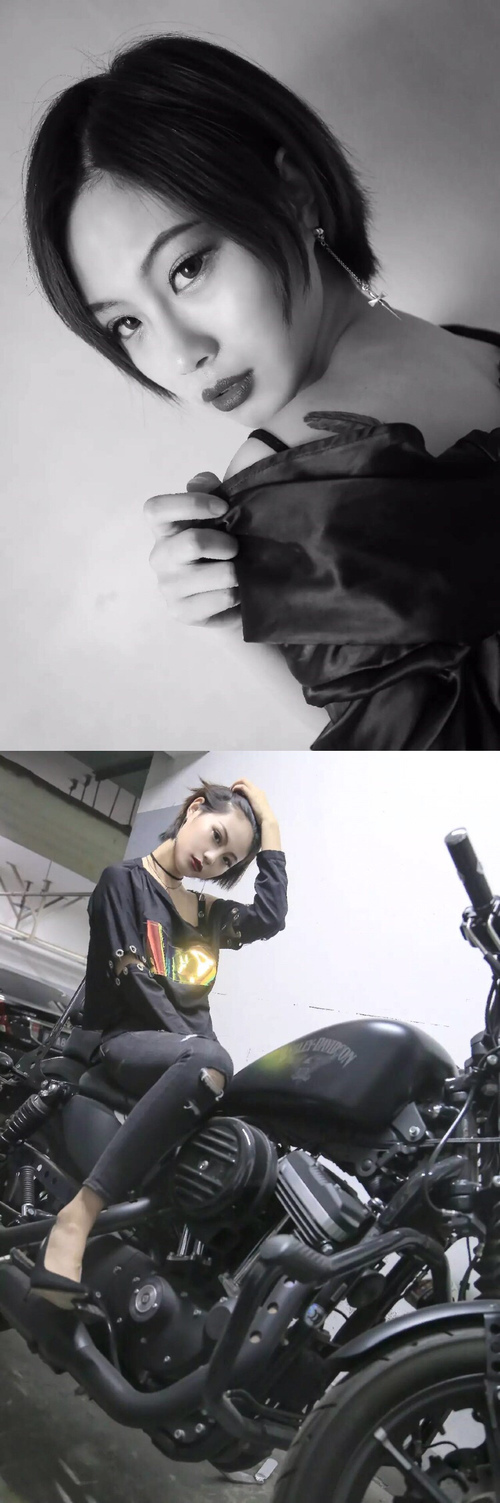 伊朗马术协会推出马匹健康管理系统，提升马匹福利。，伊朗 马赛克