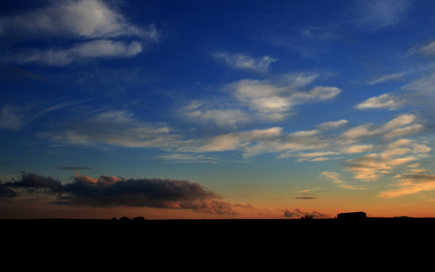 开云中国-比利时羽毛球选手在比赛中展现出顽强拼搏精神，比利时体育强项