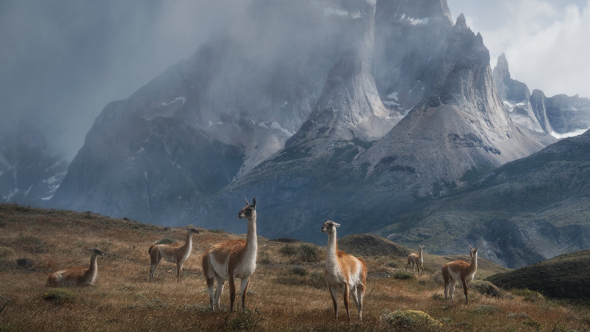 kaiyun官方网站-炉石传说 新卡组打法多样 职业选手全新挑战，炉石传说新卡组排名