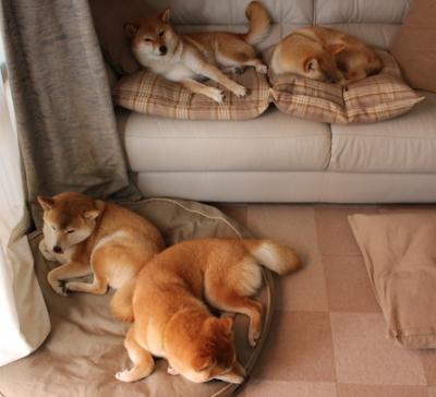 电竞主播带动粉丝经济,新玩法引爆网络热潮,电竞主播赚钱吗