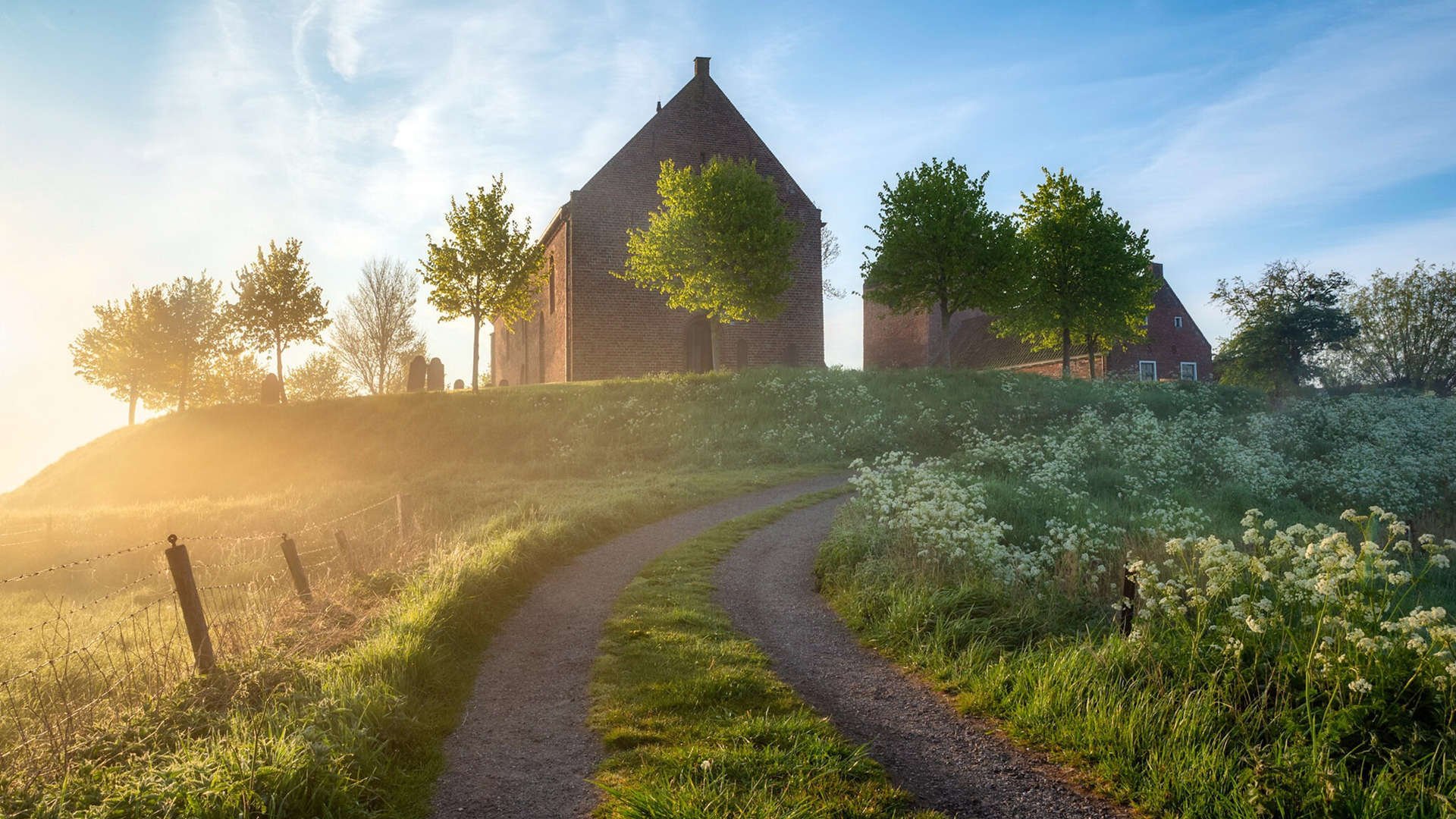 篮球公益训练营深入农村学校推广,篮球训练营推广方案