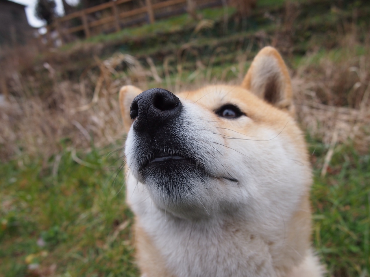 开云网页版登录入口-运动员故事：从青训到世界冠军的艰辛历程，青年运动员的故事
