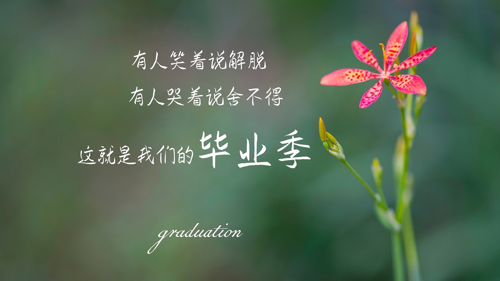 DOTA 2电竞教育项目启动，dota 电竞平台