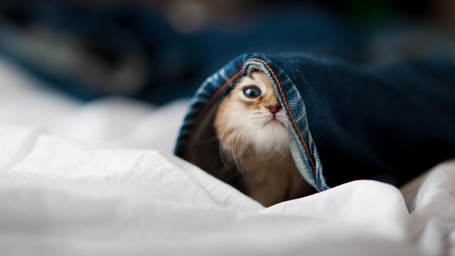 勇士大胜雷霆,季后赛首轮中库里三分雨不断,勇士vs雷霆 库里最经典的比赛