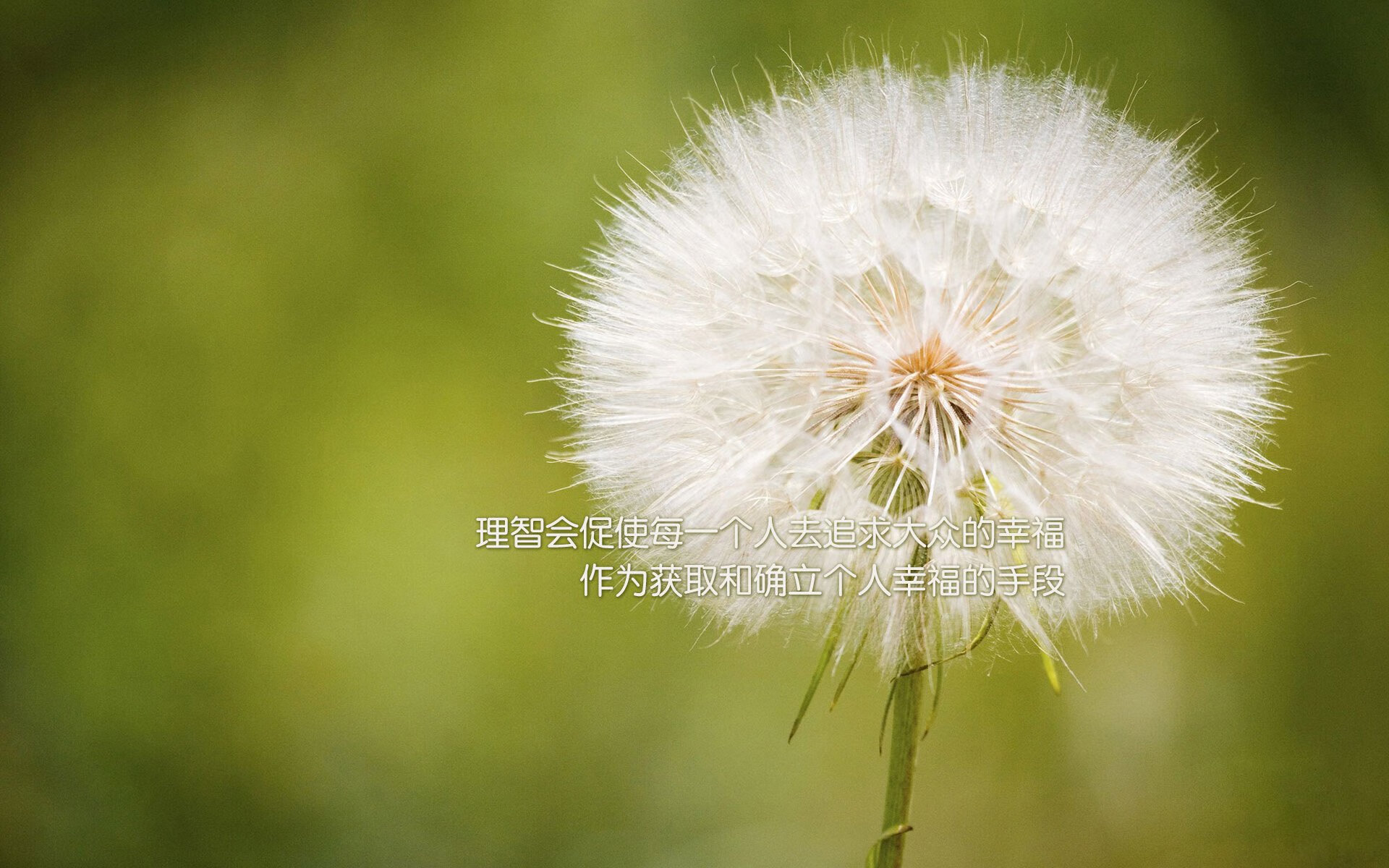 基于大数据的电竞赛事战术分析与选手表现评估方法,大数据技术电竞数据分析