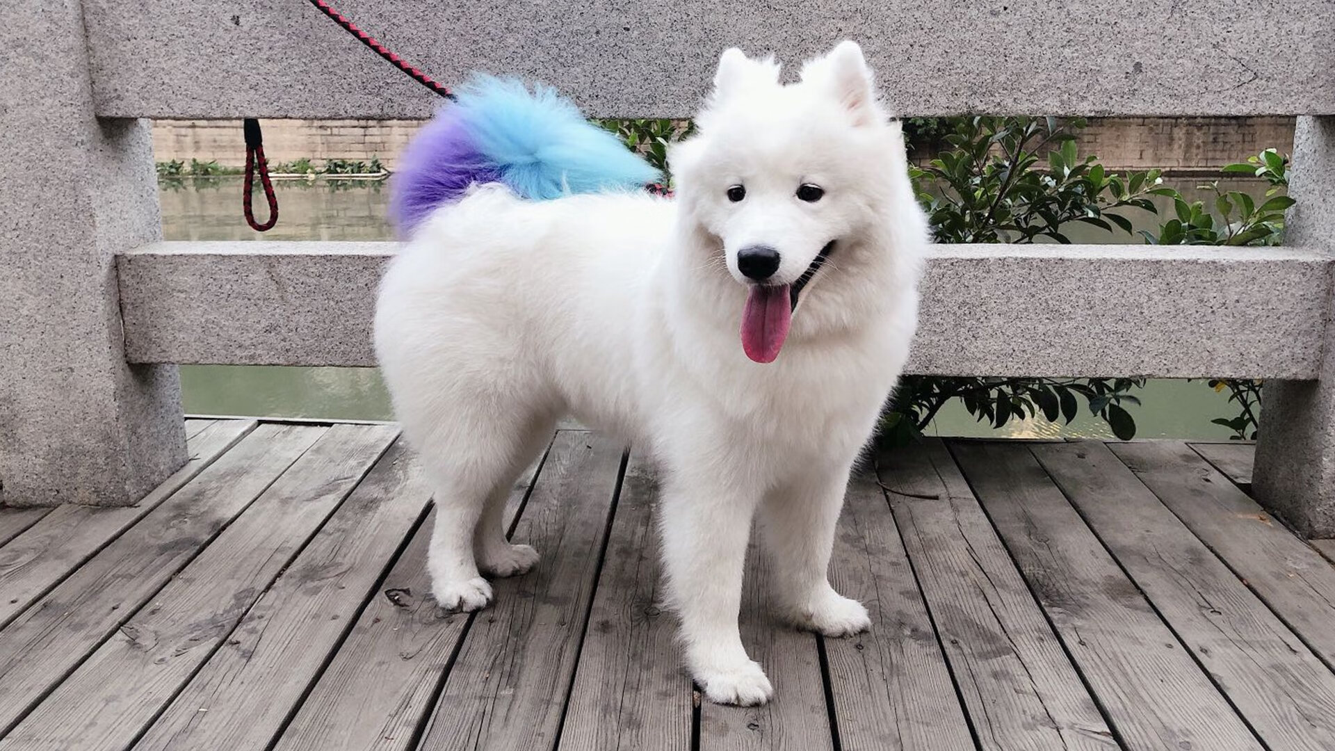 kaiyun开云·官方网站-是否应通过比赛推广更多社会议题，如何推广比赛