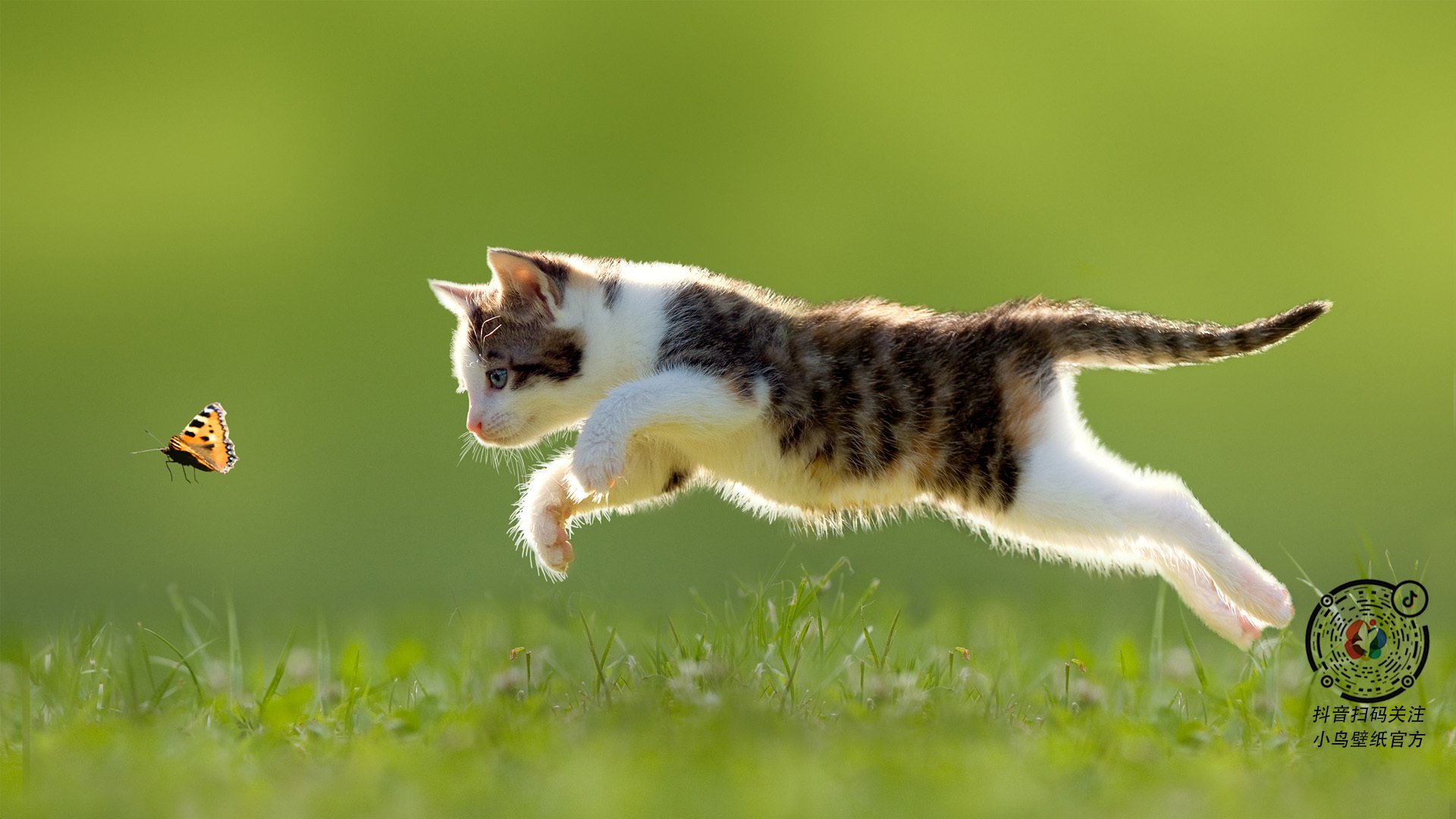 开云入口-欧国联比赛：拉脱维亚队战胜格鲁吉亚队，拉脱维亚对德国