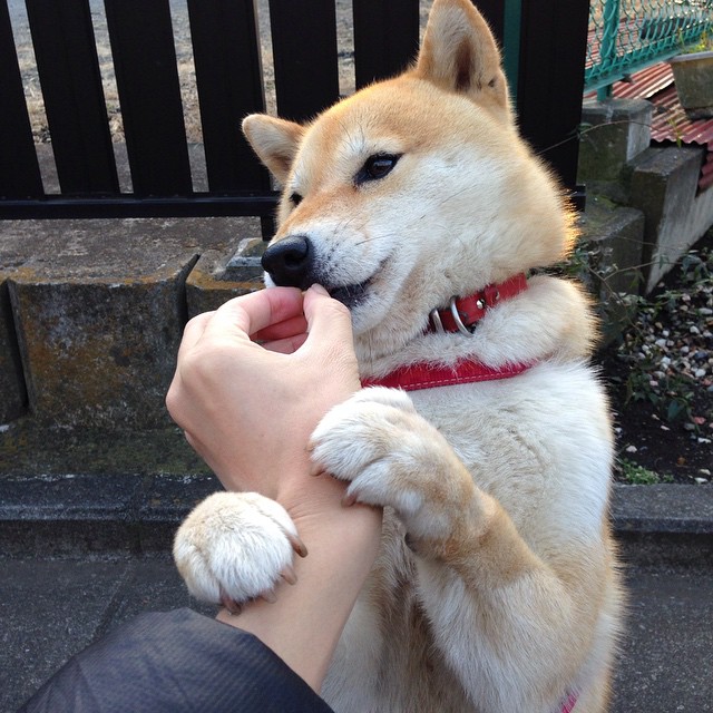 开云kaiyun-深度解析足球新秀表现，深度解析足球新秀表现分析