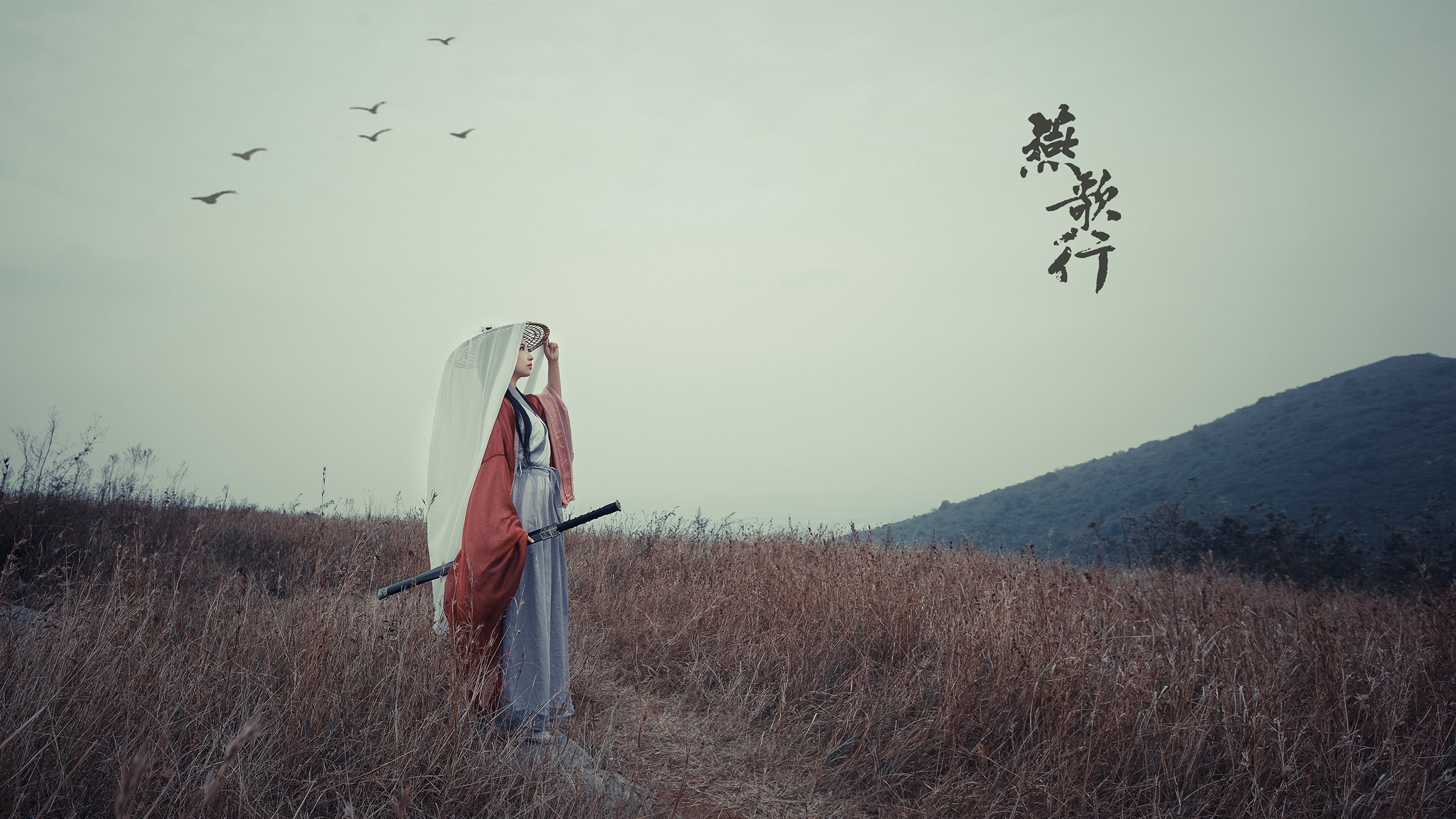 NBA球队双核心体系的配合机制与风险评估,nba的什么球队分属两个联盟