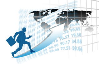 kaiyun体育app-中国篮球职业联赛赛事运营管理优化研究，中国篮球竞赛体系