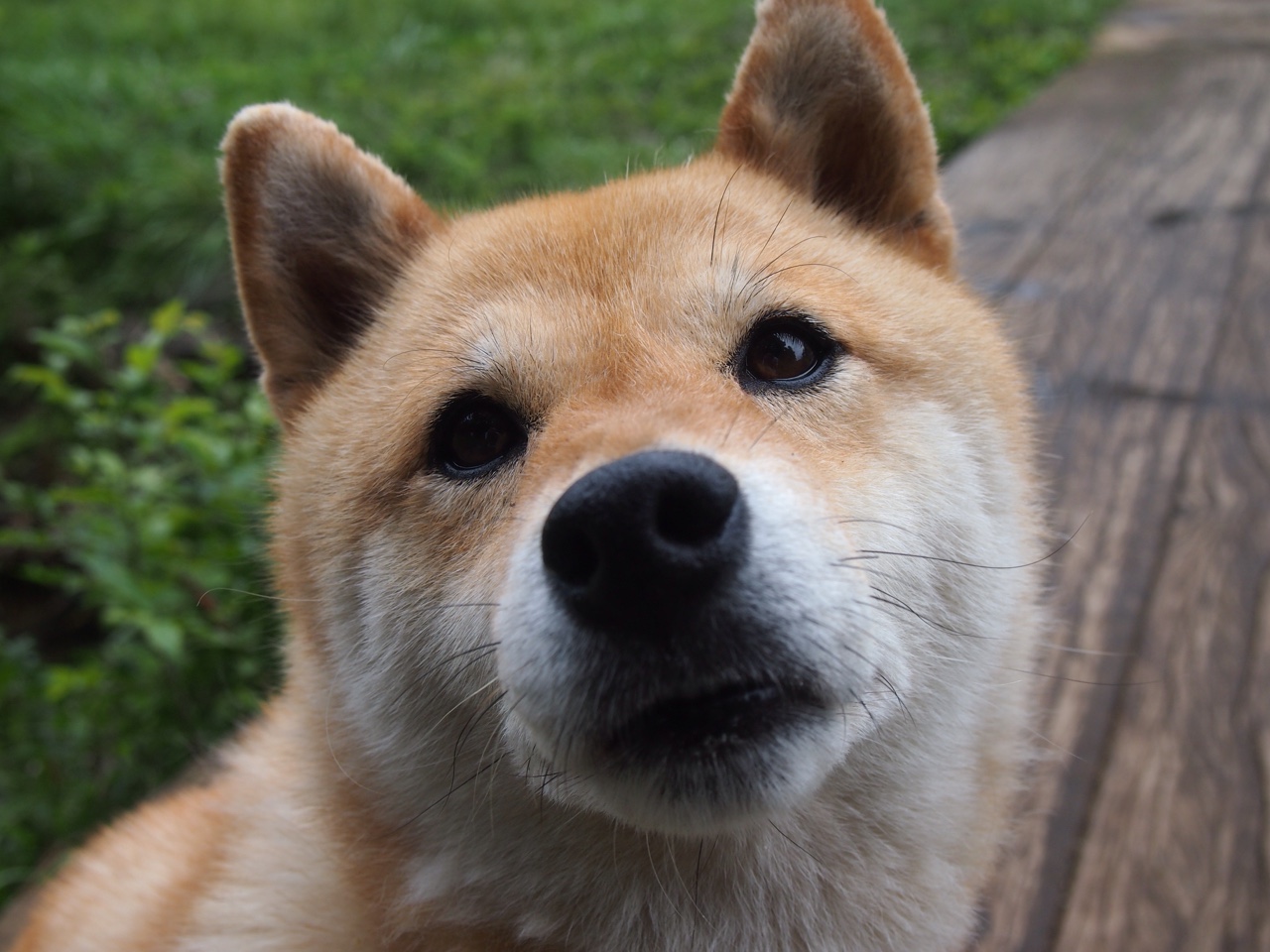 全国武术散打冠军赛高手云集,全国武术散打王