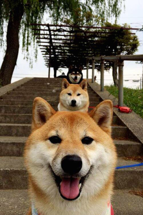 德甲球队利用疲劳识别模型控制关键球员训练强度分布