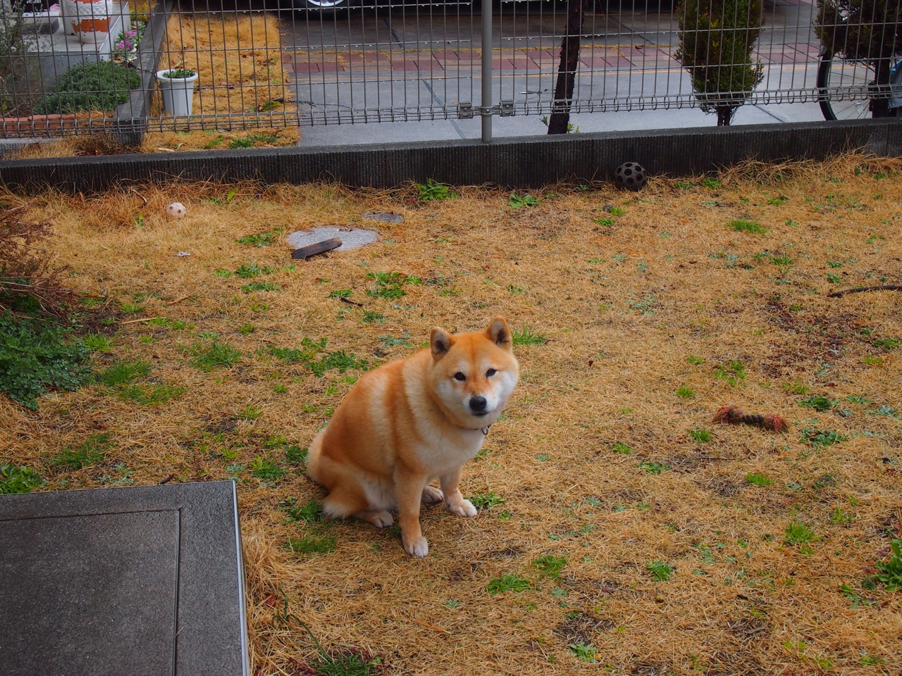 意甲教练团队数据驱动的战术布置优化方案,意甲教练排名