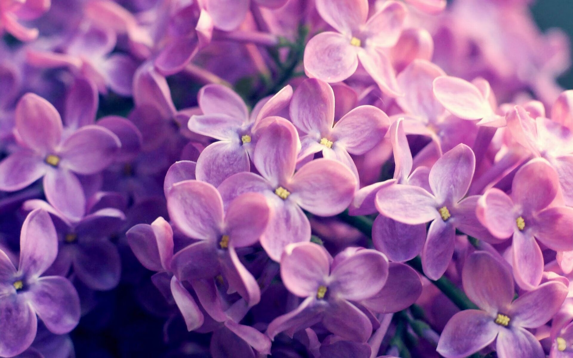 高校体育专业人才培养质量控制体系构建与优化,高校体育在人才培养中的作用