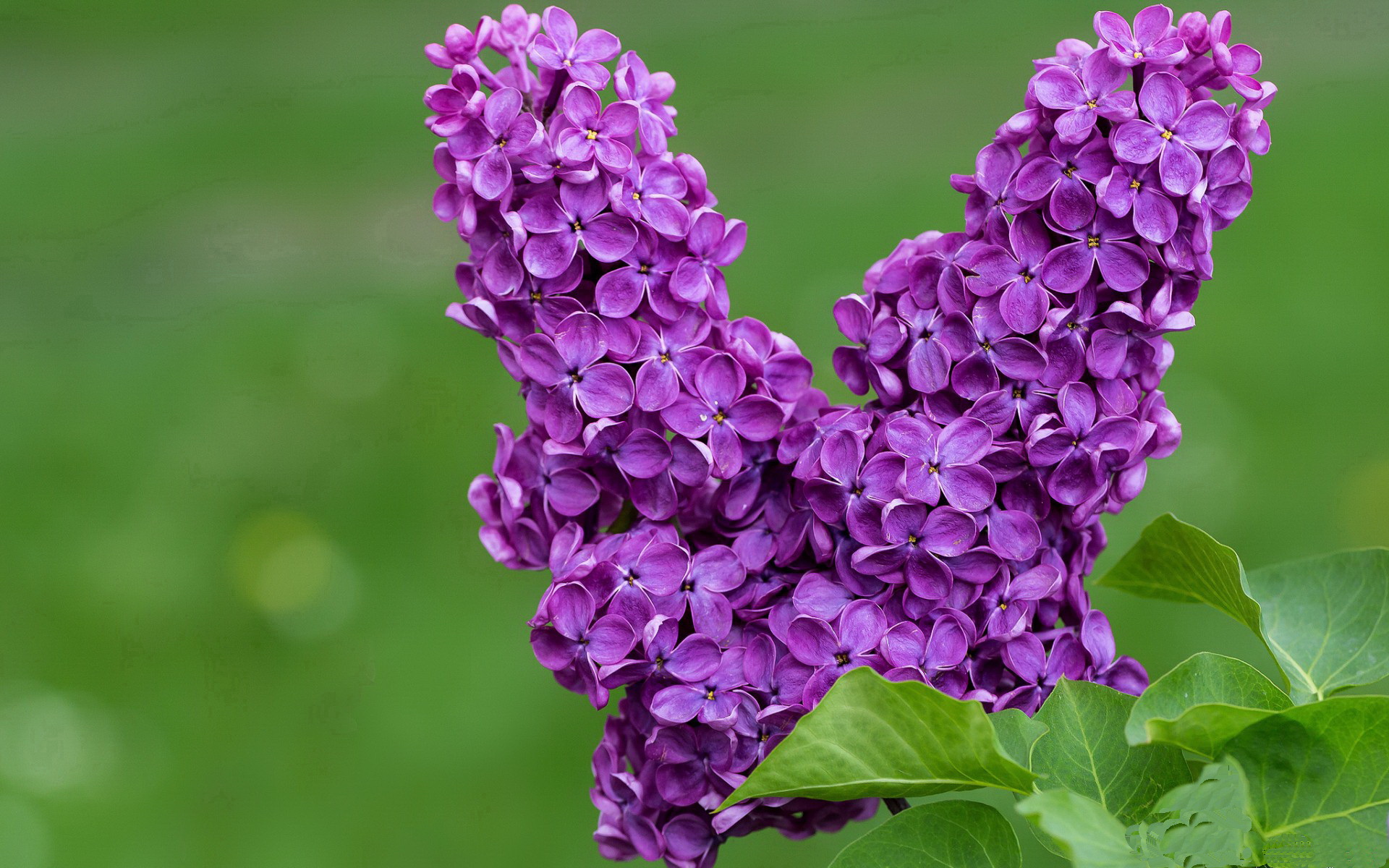 高校体育专业人才培养质量控制体系构建与优化,高校体育在人才培养中的作用