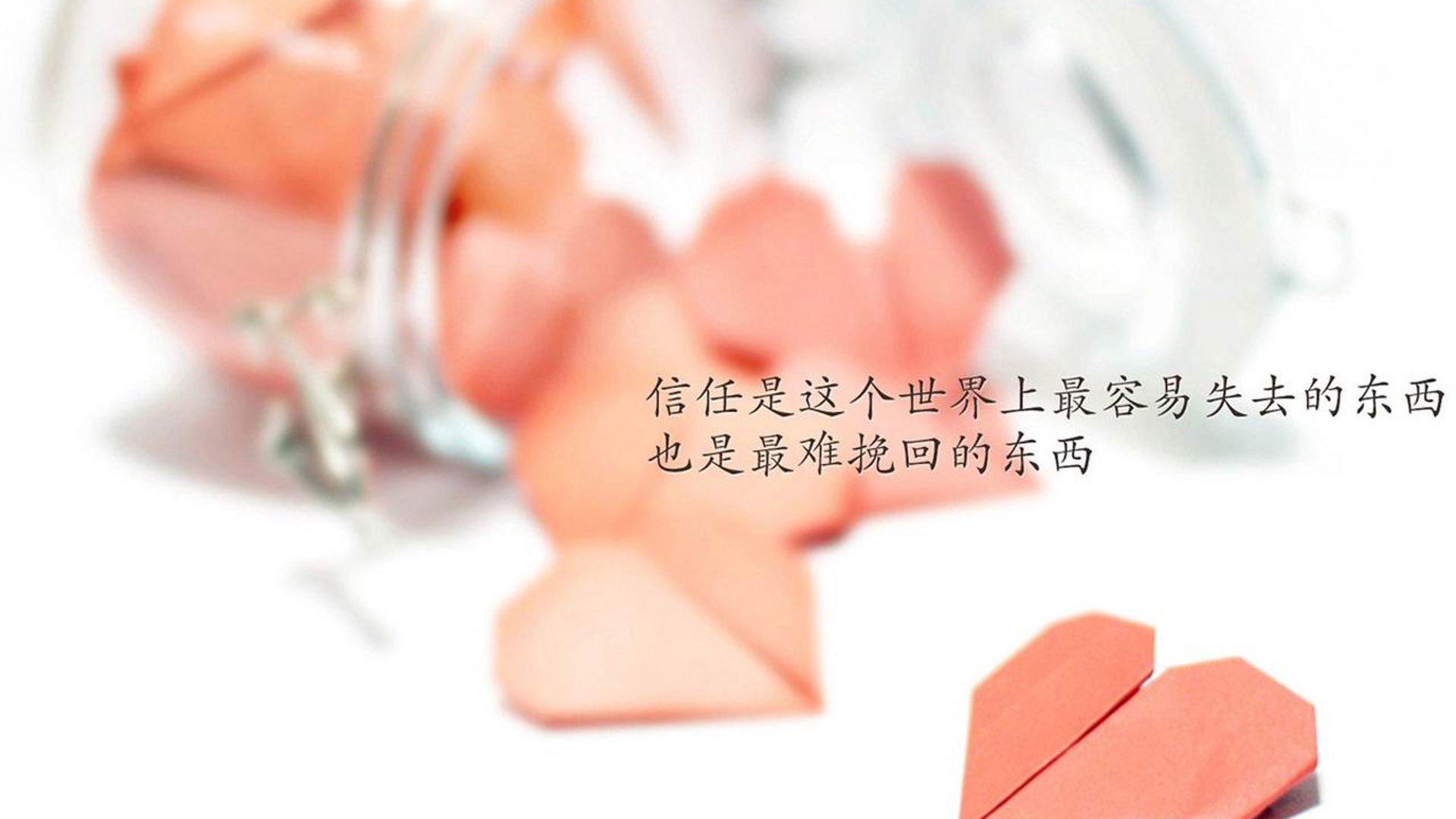 “金牛区城北体育馆:运动舞蹈赛上,舞者们以舞步挑战极限,震撼赛场”