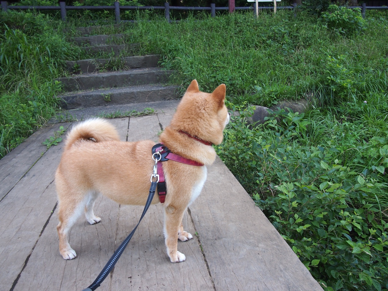 外教引进缺乏成果评估体系,外教引进缺乏成果评估体系的原因