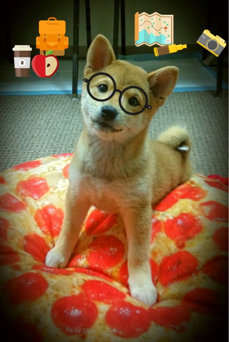 开云·体育官网-篮球场上拼搏精神成就球队真正底蕴，篮球拼搏精神文字