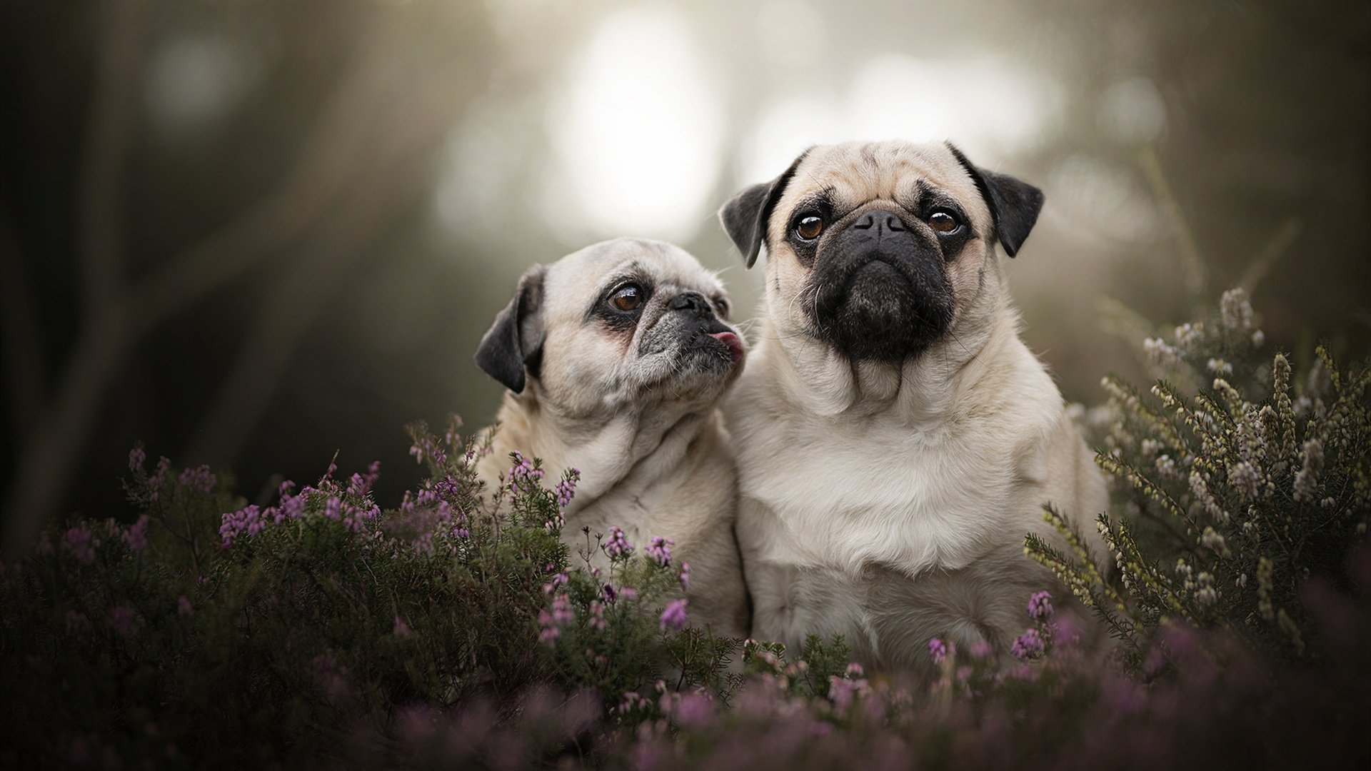 开云中国-马拉松赛事创新模式提升参赛体验，创新马拉松方案