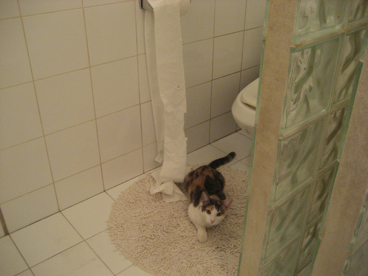 张伟丽赛前称将全力以赴拼到底,张伟丽比赛视频中文解说