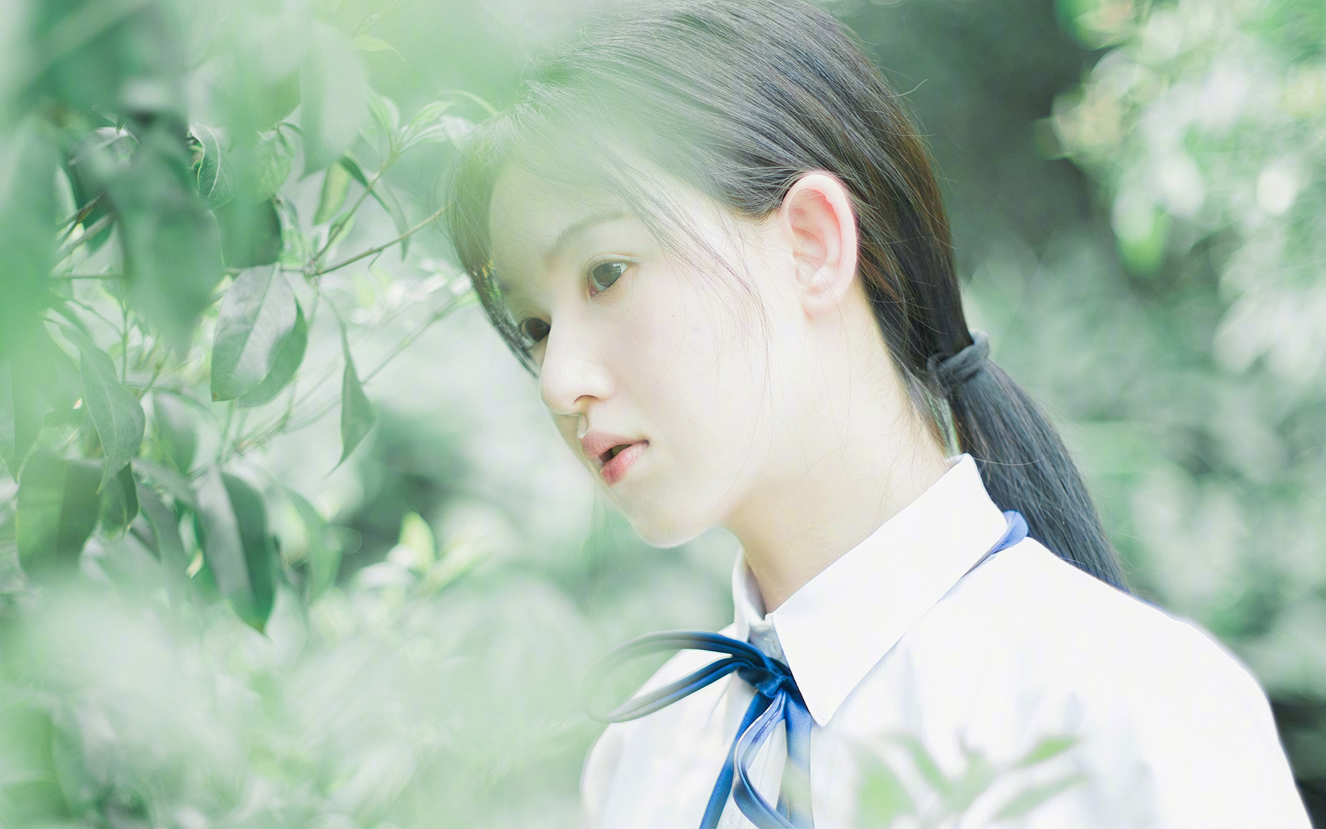 德甲球队的国际市场布局,德甲俱乐部球队