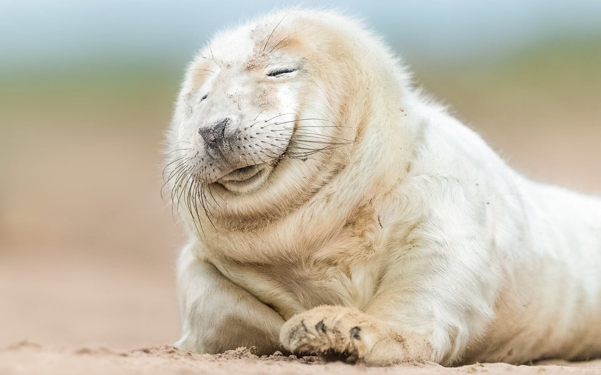 格鲁吉亚女篮在欧洲锦标赛中夺冠，迎来崭新高度，格鲁吉亚女子联赛