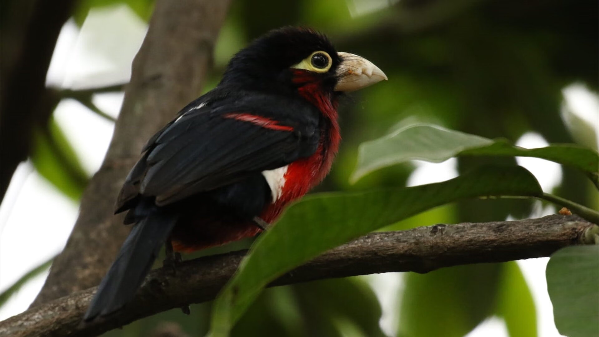 王宗源赛后感谢团队支持,王宗源夺冠